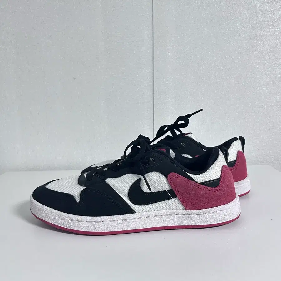 나이키 SB 앨리웁(270)
