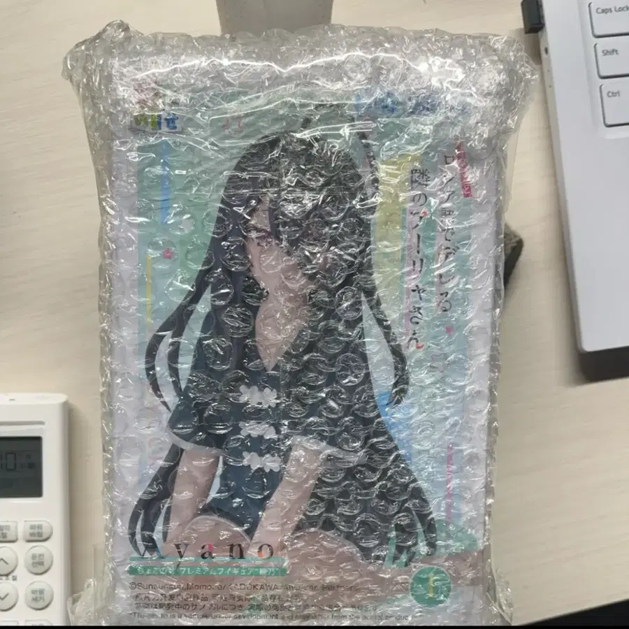 후류 료우 아야노 피규어