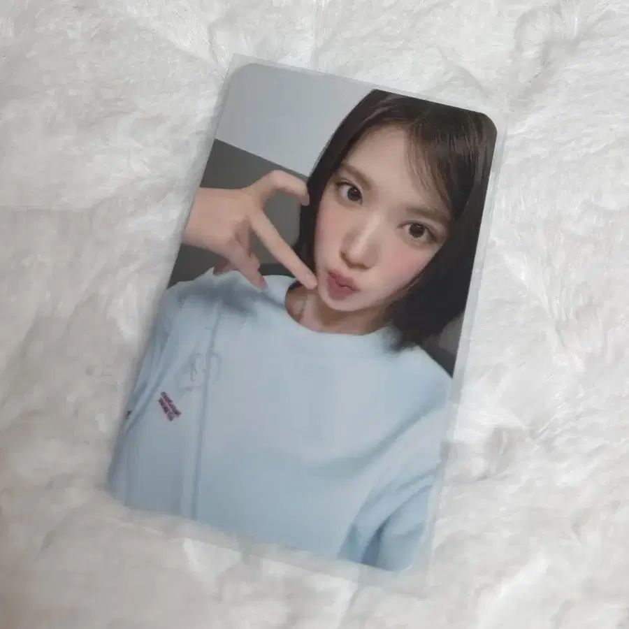 하츠투하츠 하투하 지우 릴리브라운 포카 양도 판매