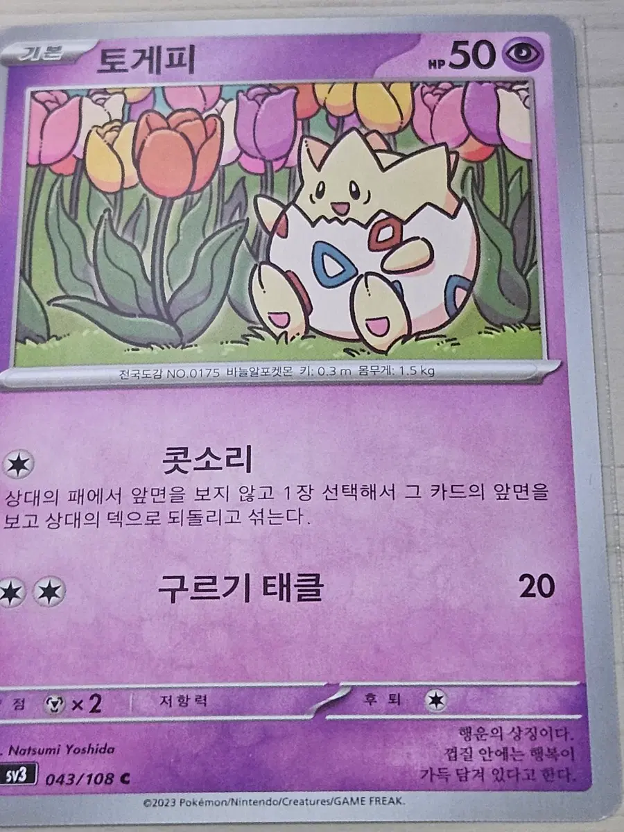 [최저가] 포켓몬카드 토게피