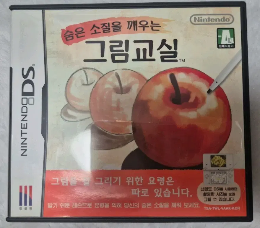 닌텐도 DS 그림교실