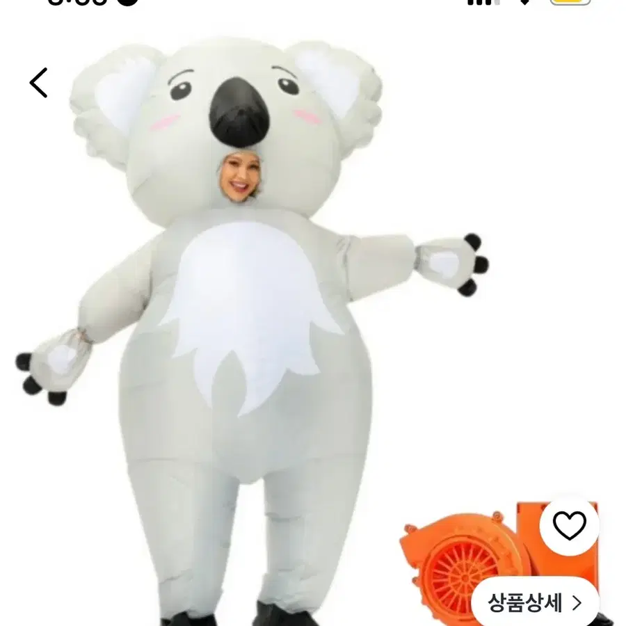 졸업사진 코알라 에어슈트