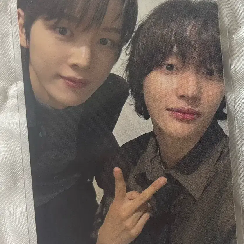 라이즈 일본팬미팅 유닛포카 순정즈 성찬원빈
