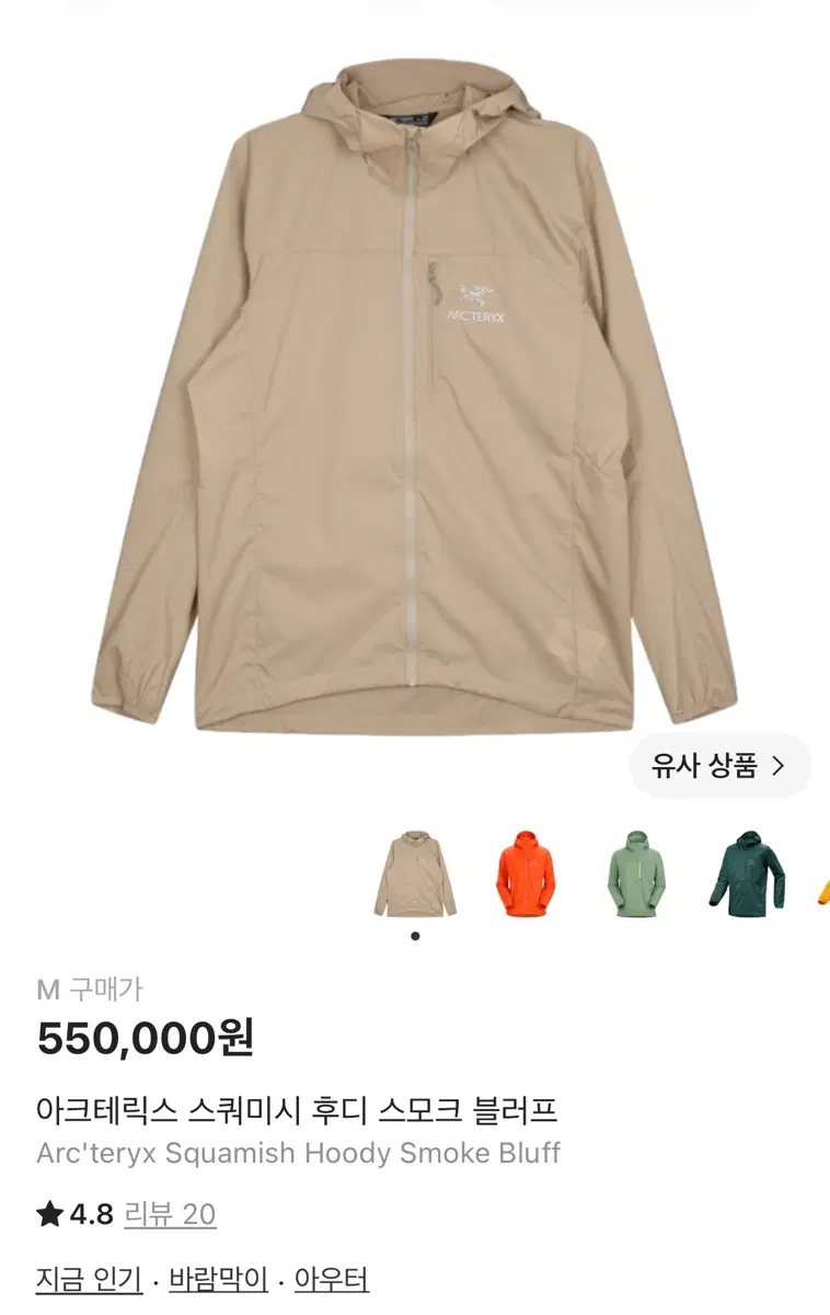 아크테릭스 스쿼미시 후디 스모크 블러프 M