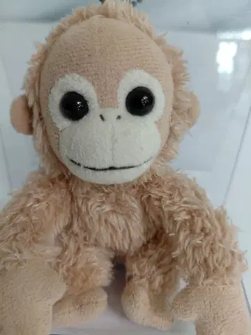 베이비 코코 봉제 인형 키체인