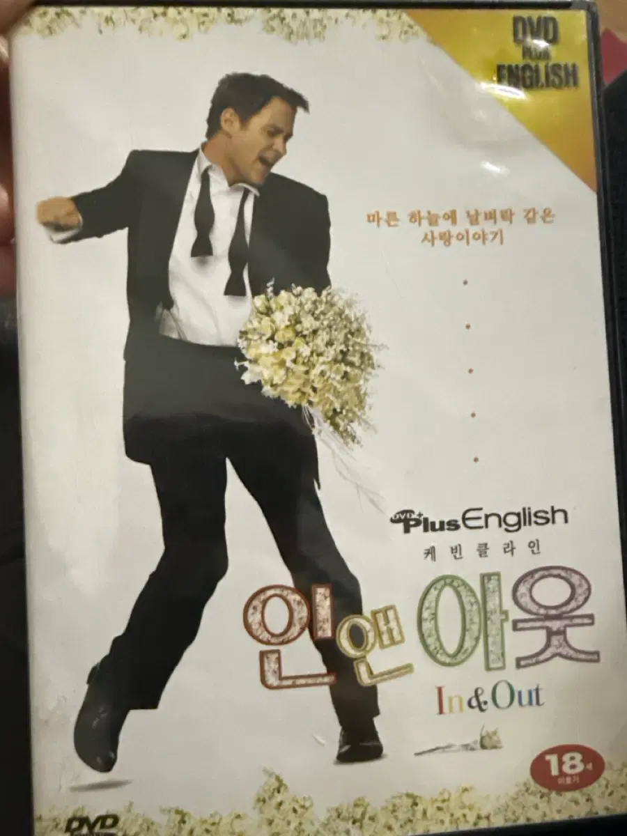 인앤아웃 DVD 플러스 잉글리쉬