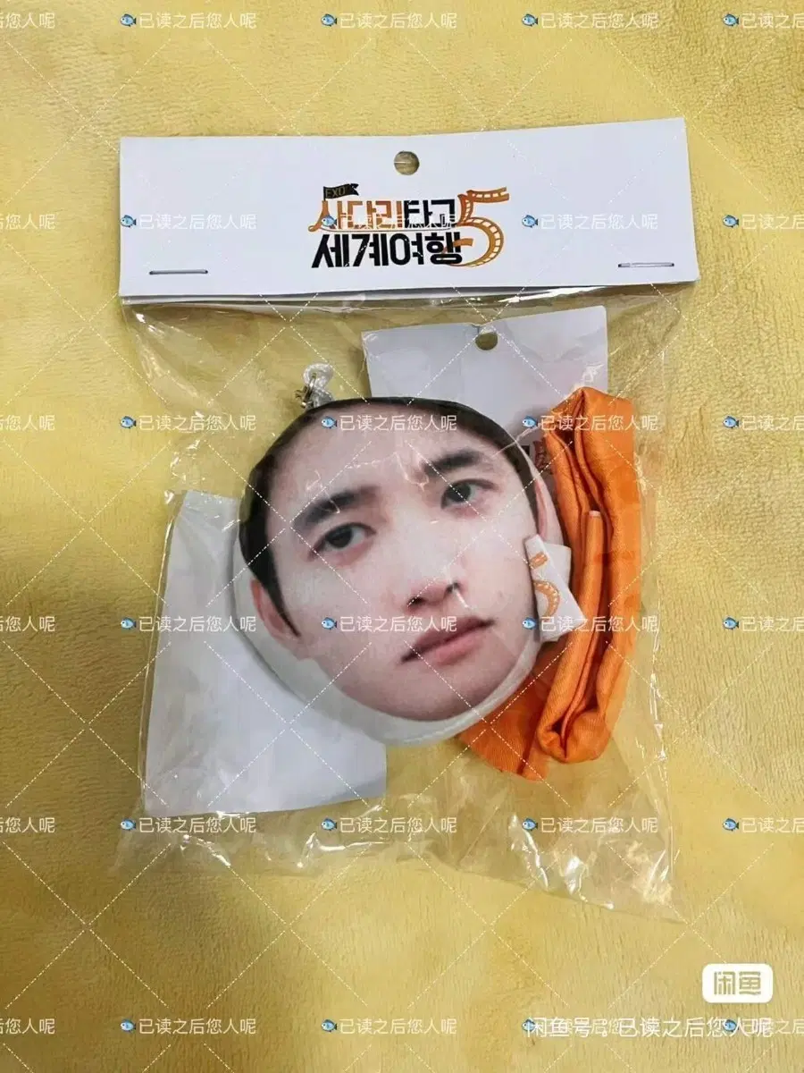 예판 엑소 사다리타고 세계여행 중국 팝업 키링 디오