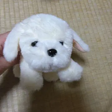 [택 포함 새상품] 골든 리트리버 단풍의 아이