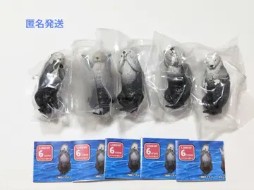PukaPuka 랏코 메이와 키라 토바 수족관