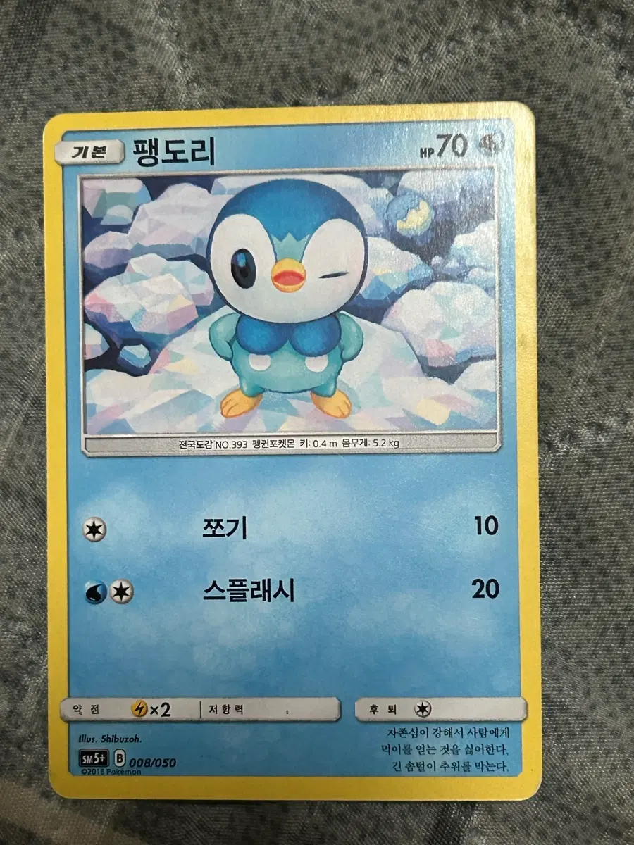 포켓몬카드 펭도리
