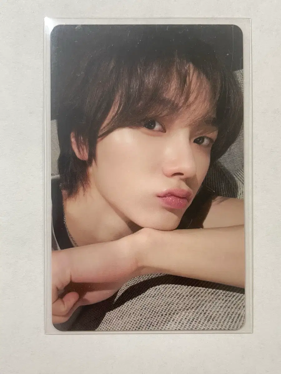 보이넥스트도어 박성호 성호 포카 포토카드
