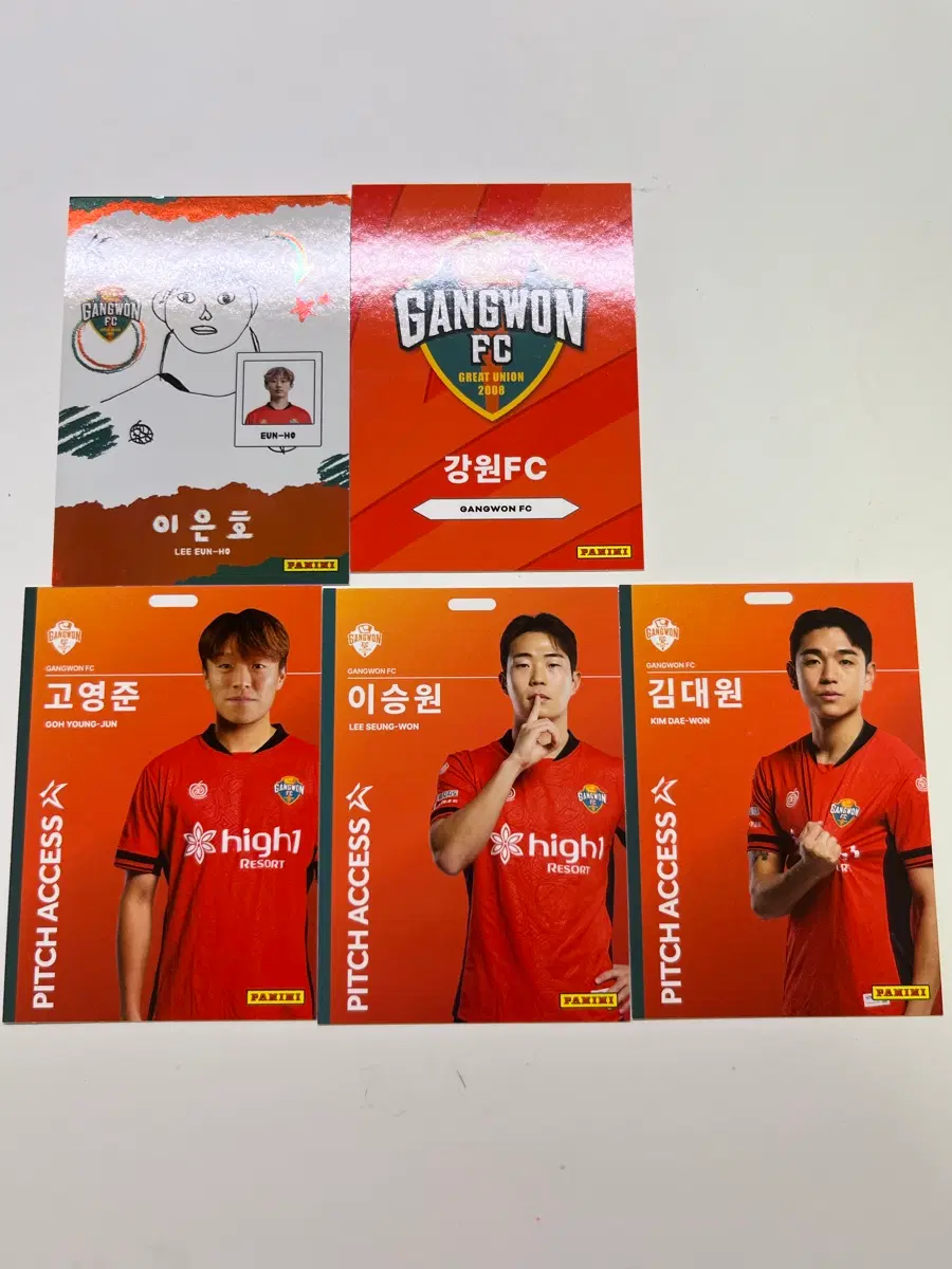 2026 k리그 파니니 강원fc