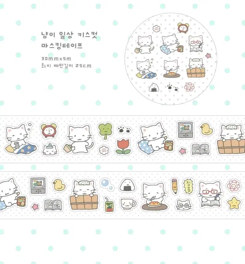 메밀솝 냥이 일상 키스컷띵 마테띵