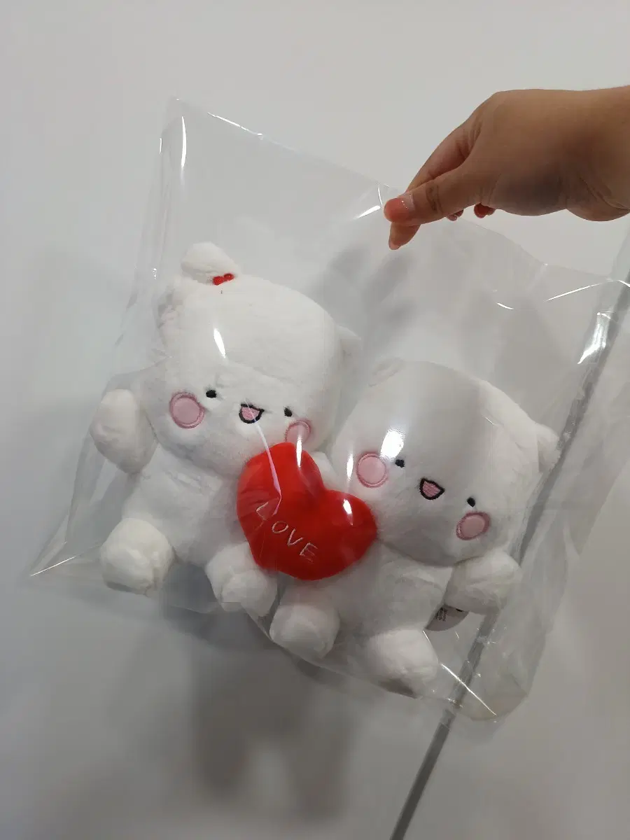 힐링곰꽁달이 커플 마그넷 인형(새상품)