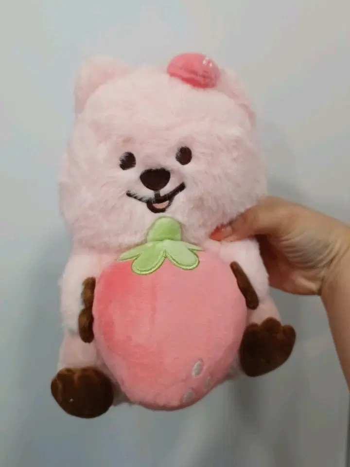 딸기 꽃카 인형(새상품)