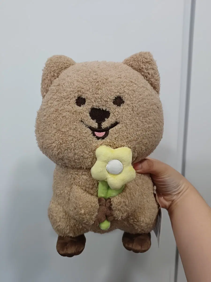 꽃을 든 복슬 꽃카인형(새상품)