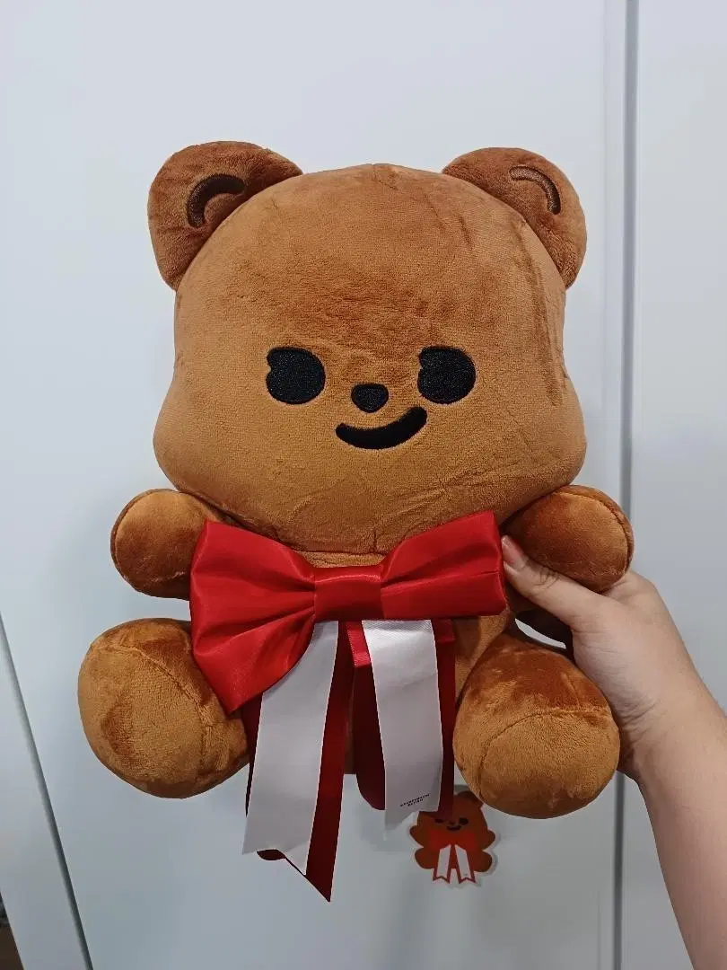 큐피드곰 축하 리본 인형(새상품)