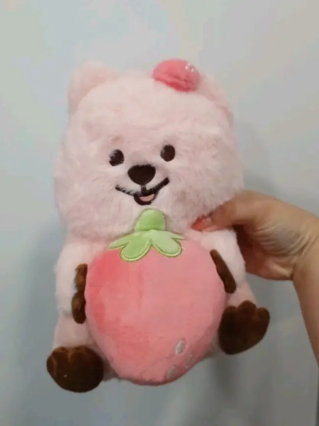 딸기 꽃카 인형(새상품)