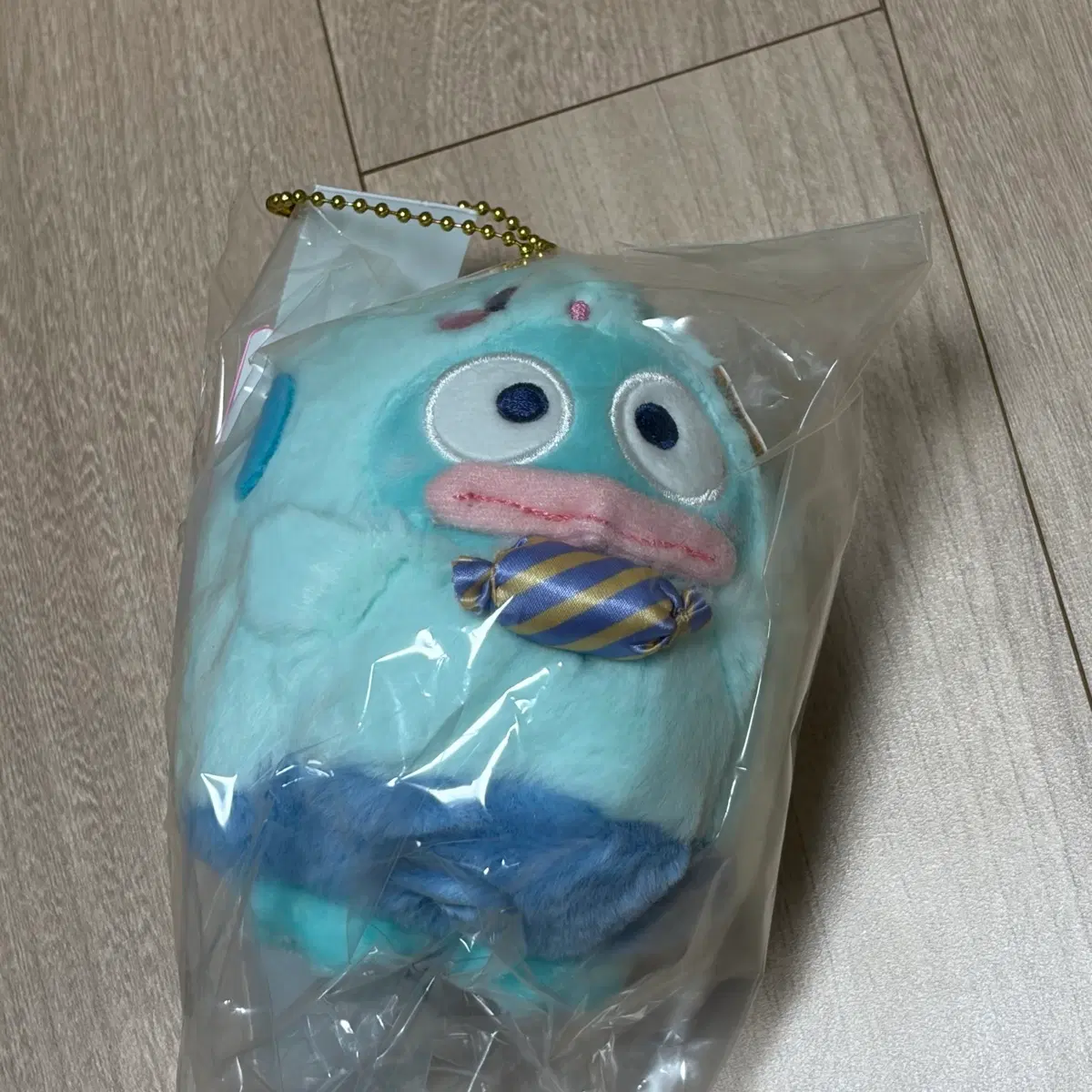한교동 오바케 유령 인형