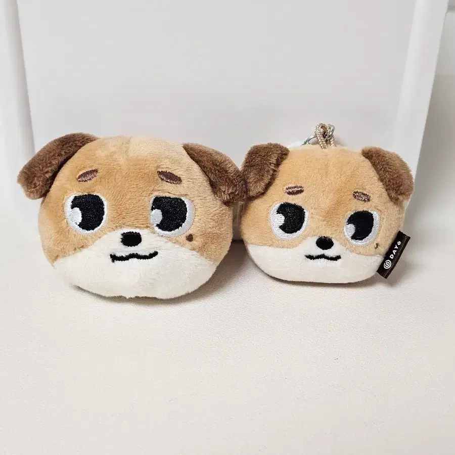 데이식스 도운 돈 엠디(소프트 토이 뱃지, 페이스키링)