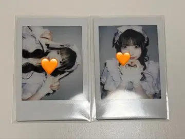 iLiFE! 코구마 마무 수국 란체키 2장 세트