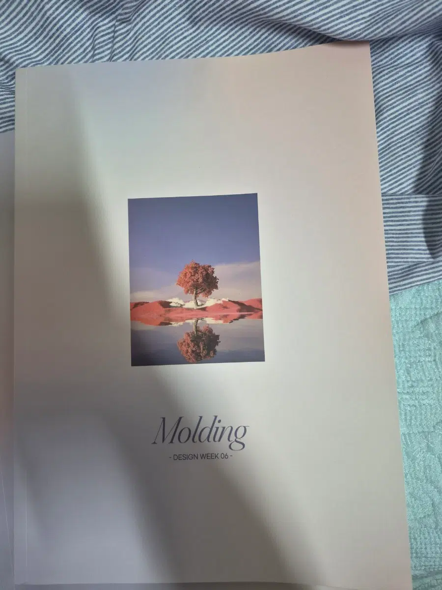 시대인재 최지욱T 디자인 몰딩 6주차