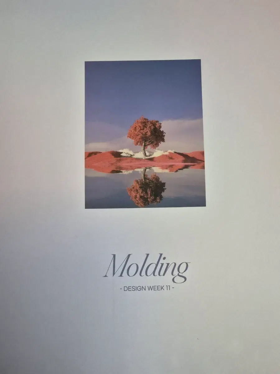 시대인재 최지욱T 디자인 몰딩 11주차 판매합니다.