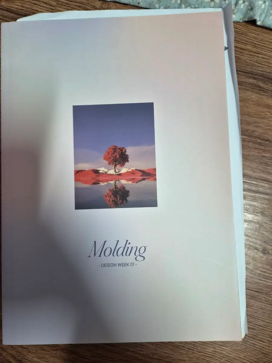 시대인재 최지욱T 디자인 몰딩 1주차 판매합니다.