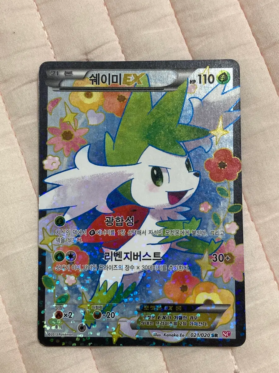 쉐이미 SR 샤이니 컬렉션