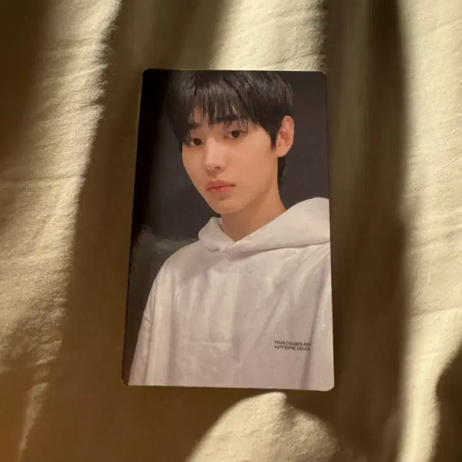 엔하이픈 성훈 박성훈 엔진봉 응원봉 포카