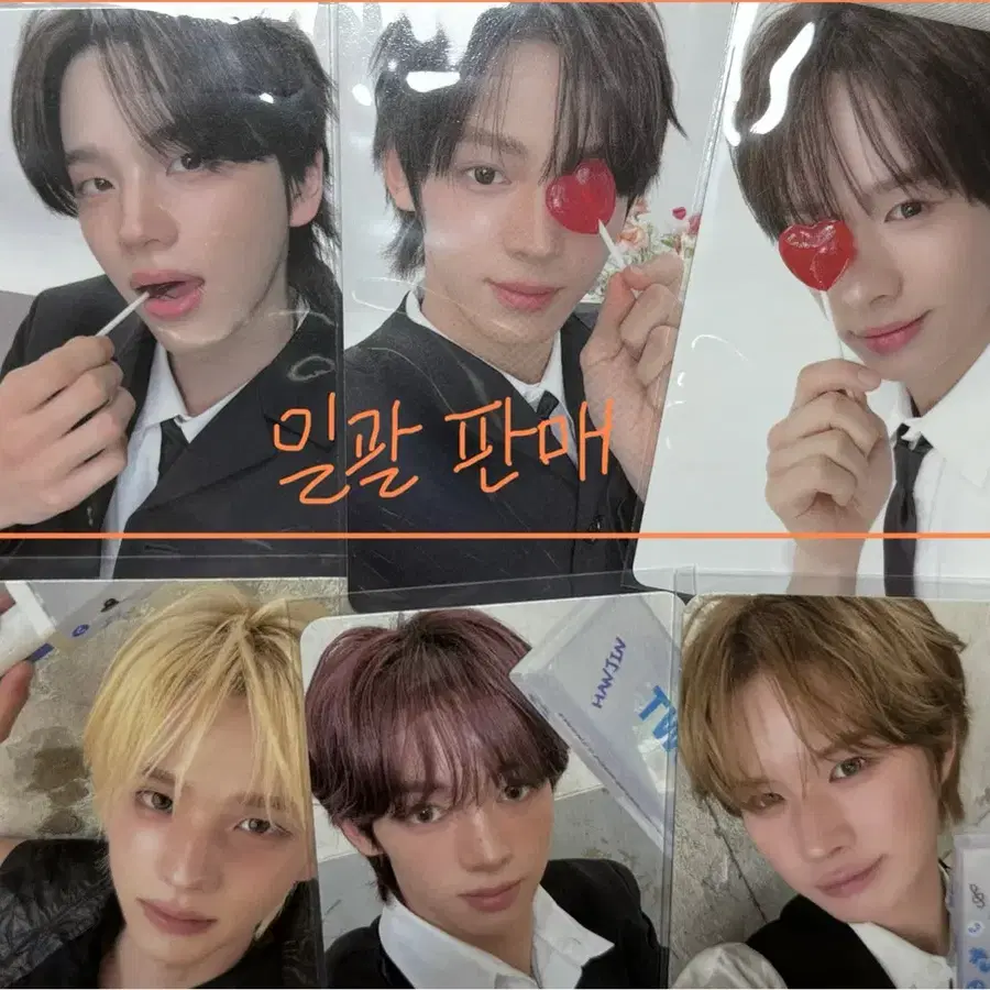 투어스 42존 사이존 포토카드 로미오캣 앨포