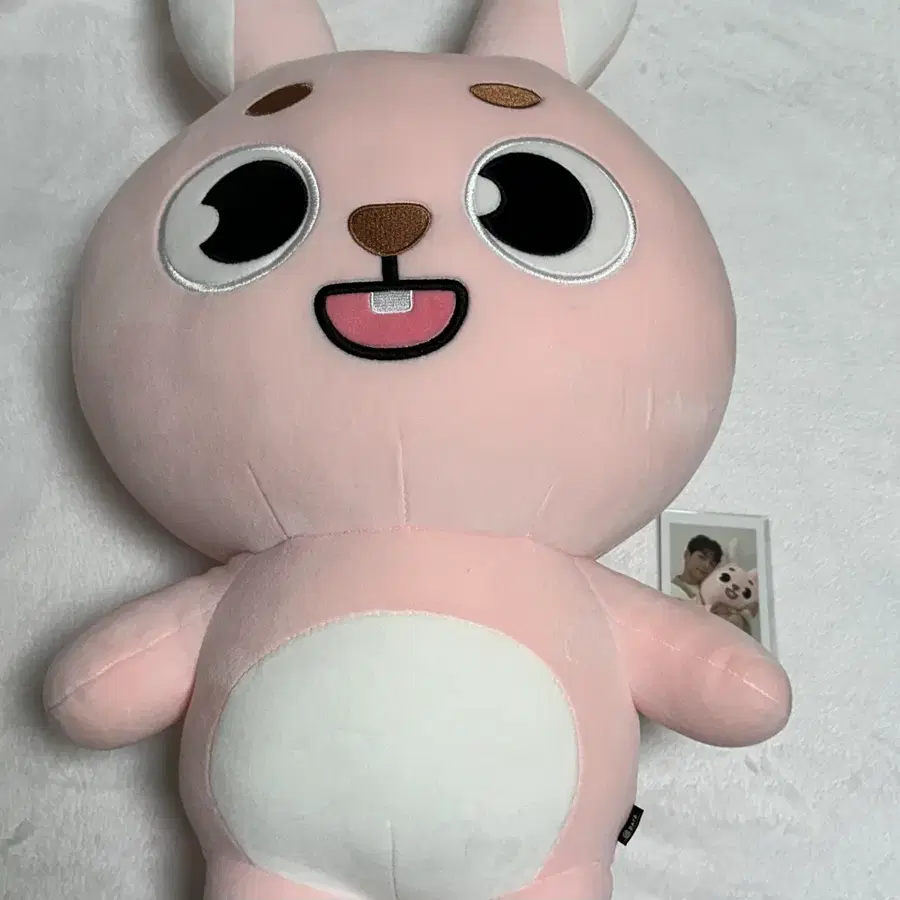 데이식스 자이언트 데니멀즈 필