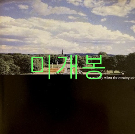 [미개봉] 이스페셜리웬 - The Evening Air (CD)