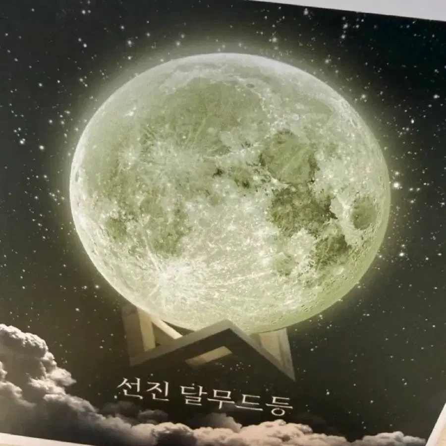 트레저 라스트나잇 역조공 달 무드등 양도 포카