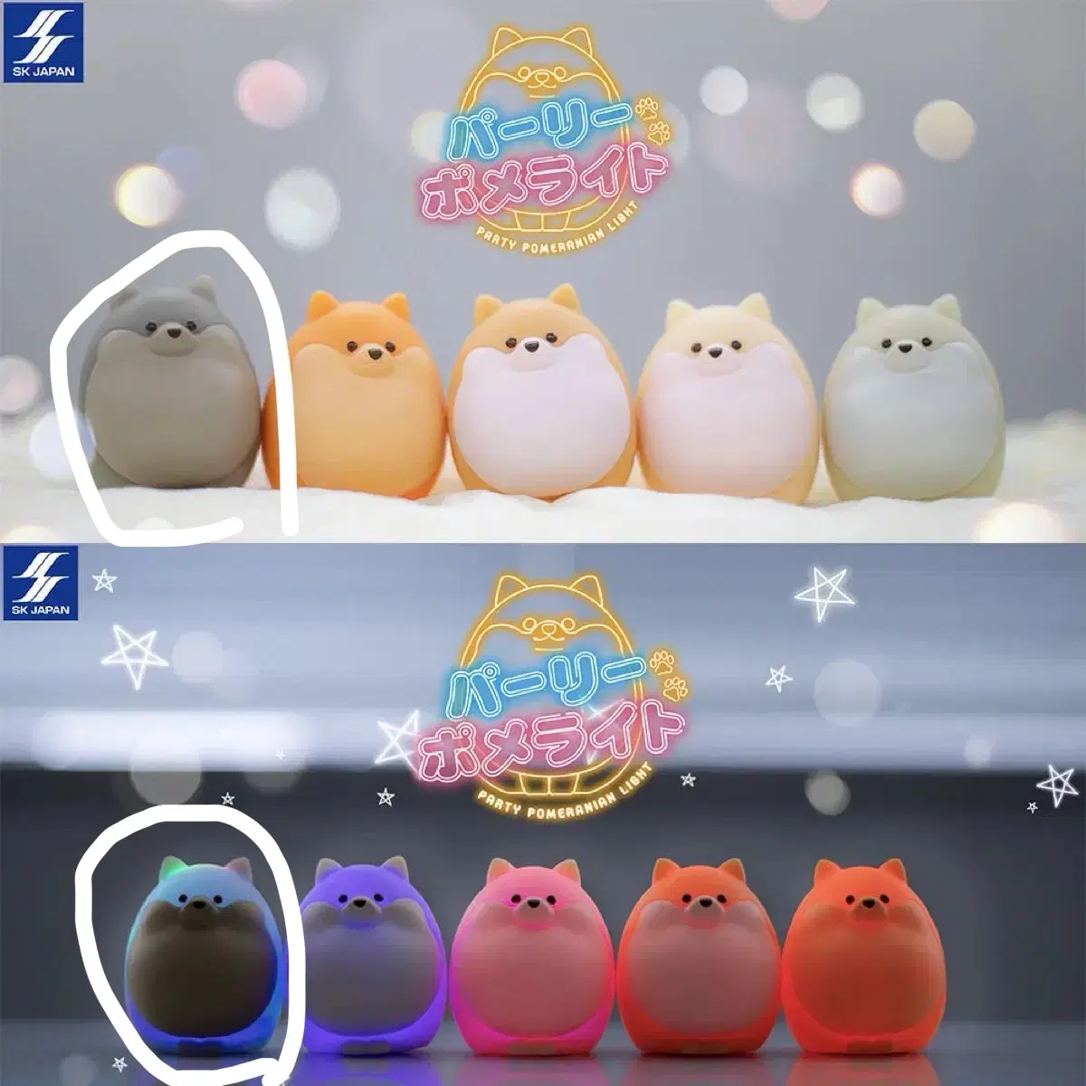 파티 포메라니안 라이트 포메라이트 가챠_회색