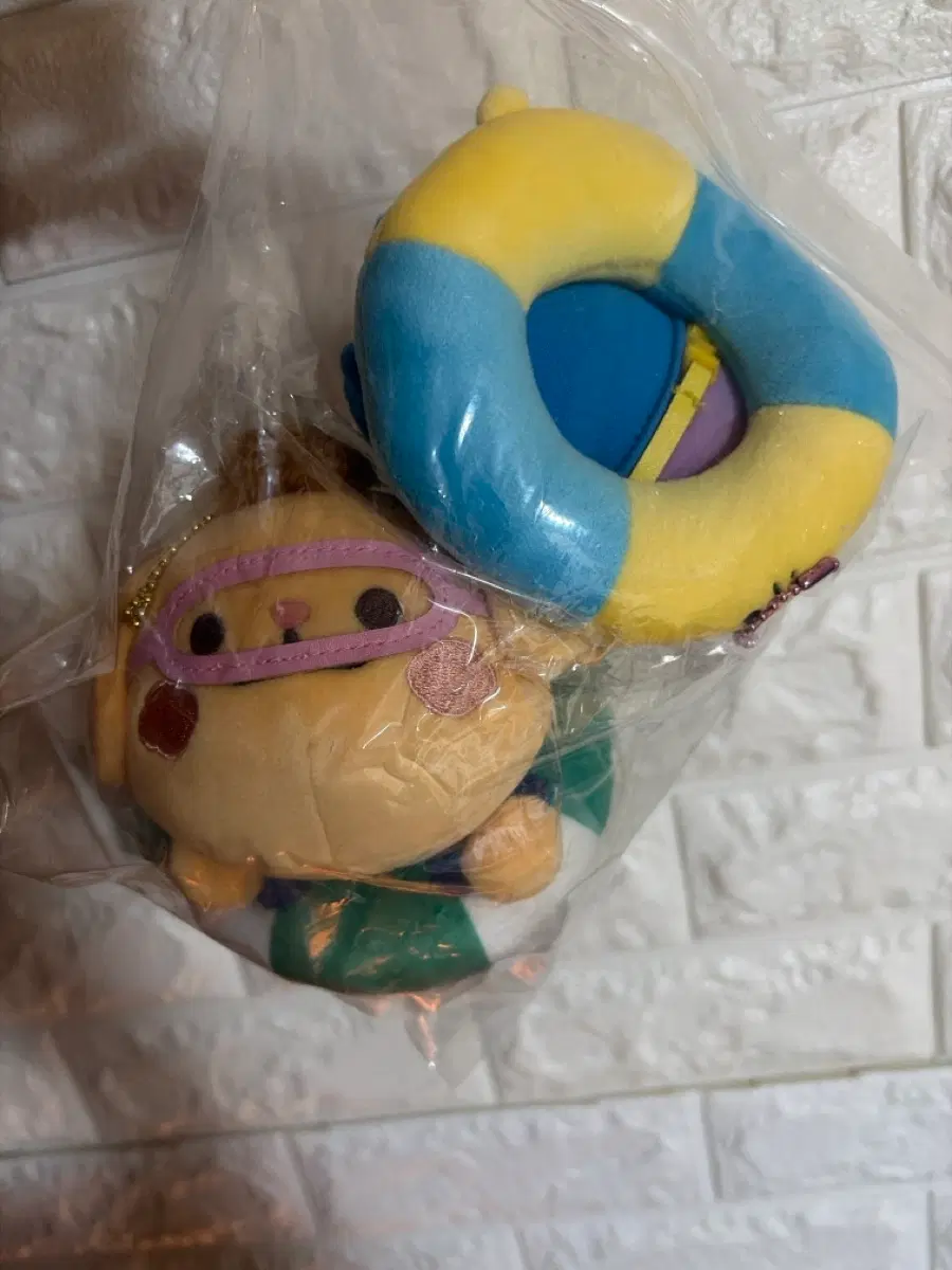 크래비티 크크루 썸머 터리 다콩이