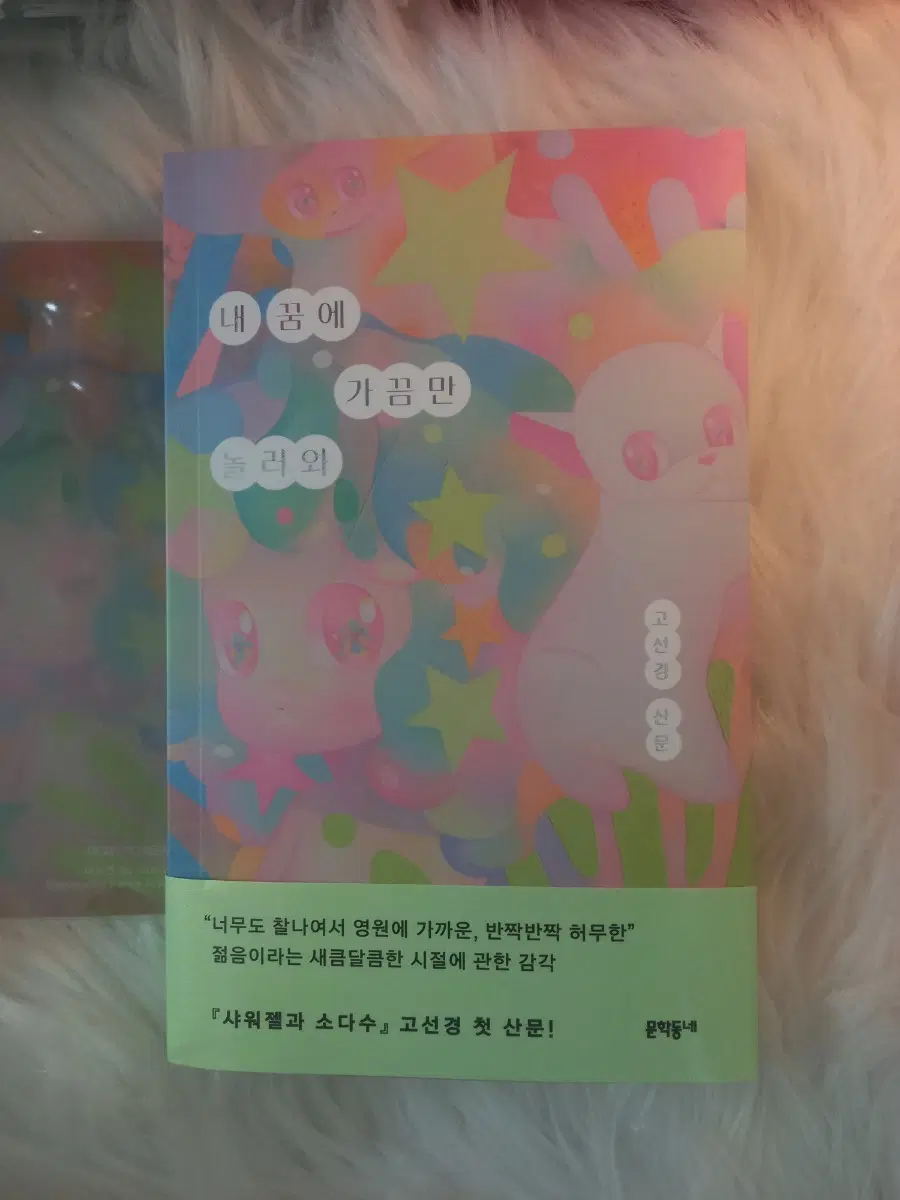 고선경 산문집 내 꿈에 가끔만 놀러와+특전 책갈피