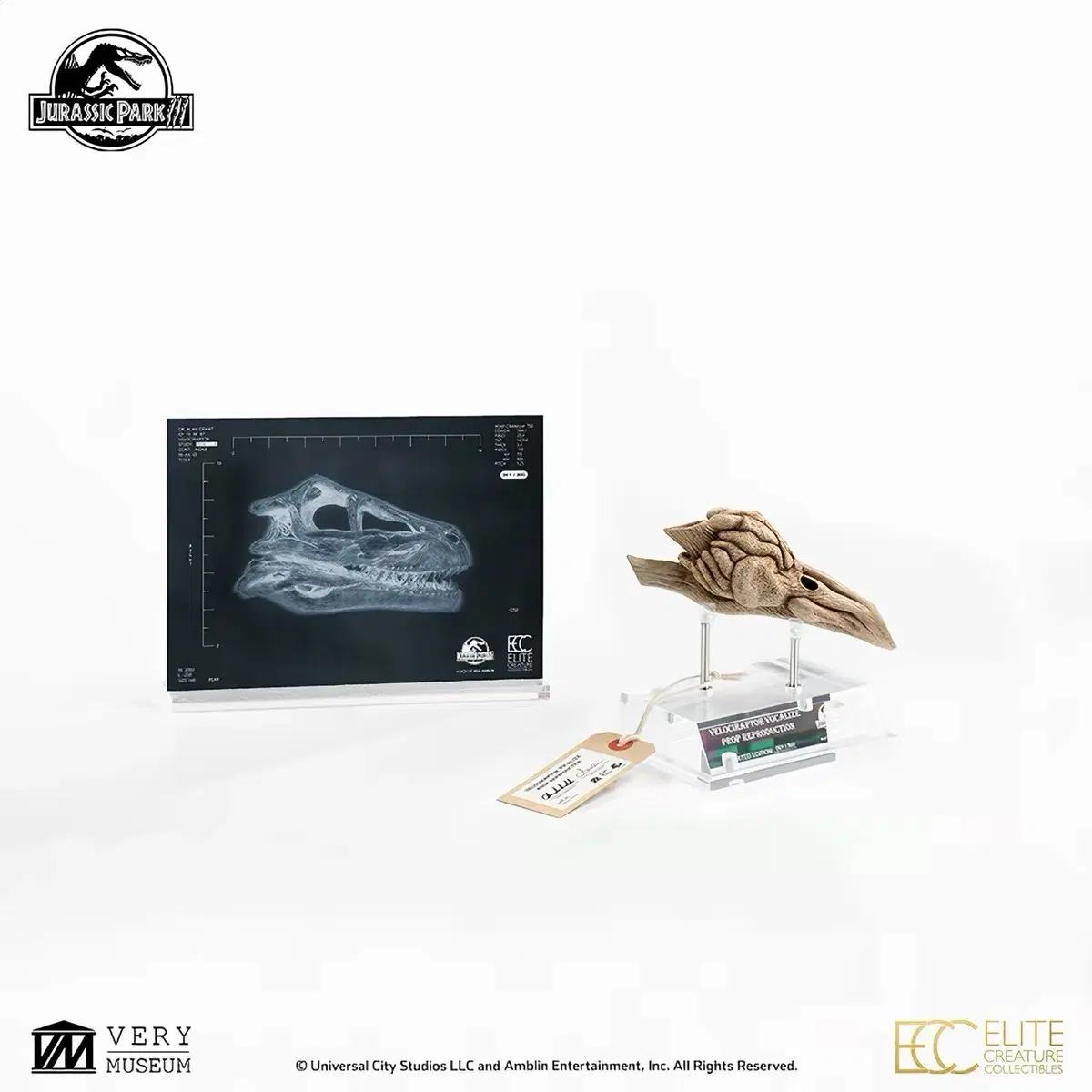ECC 쥬라기공원 벨로시랩터 공명실 미개봉품