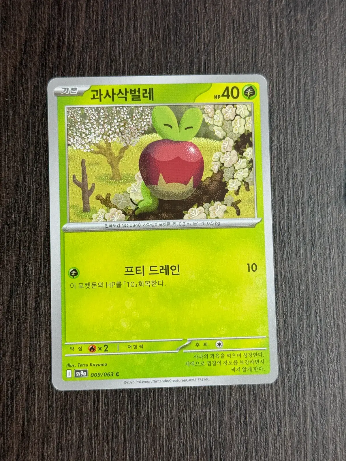 포켓몬카드 과사삭벌레 판매 5