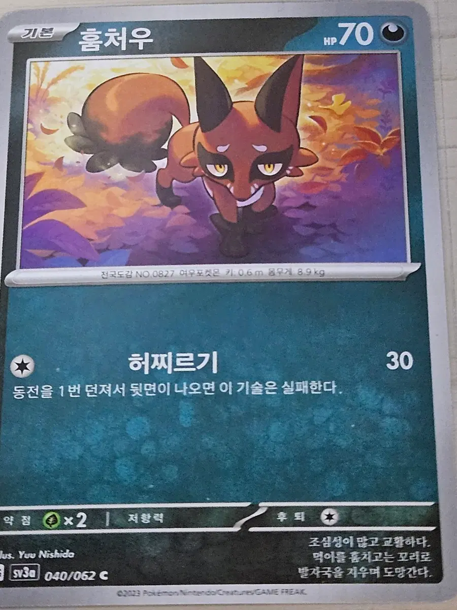 포켓몬 카드 훔처우 040/062