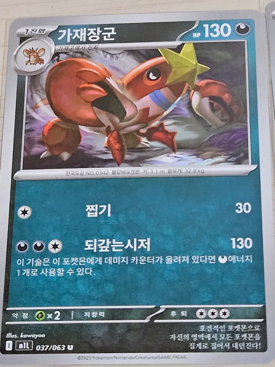 포켓몬카드 가재장군