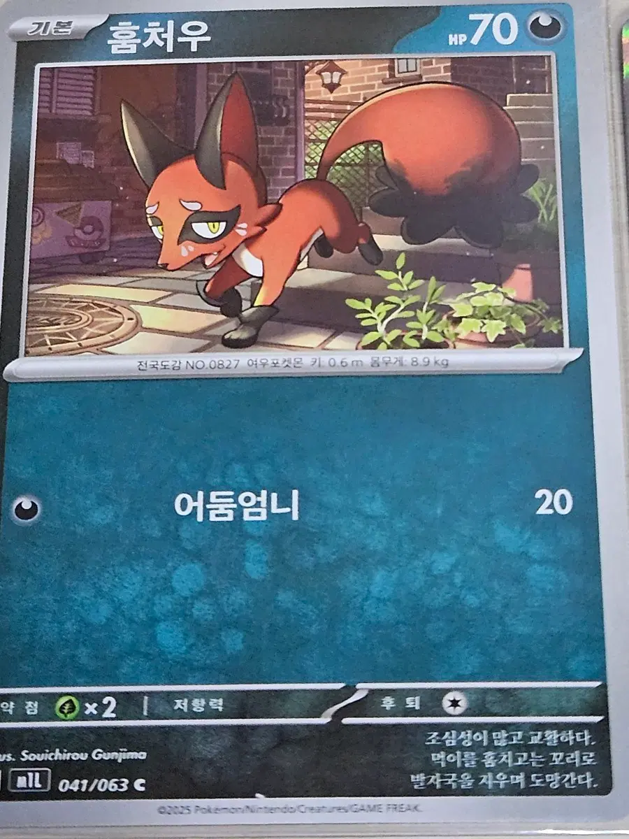 포켓몬 카드 훔처우