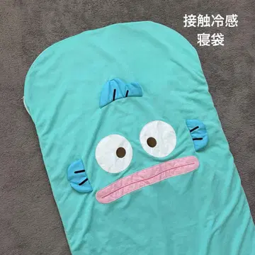 한교동 침낭