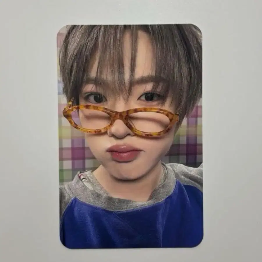 사쿠야 요이동 보밋걸 안경포카