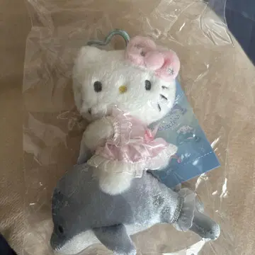 샤이니돌핀 키티