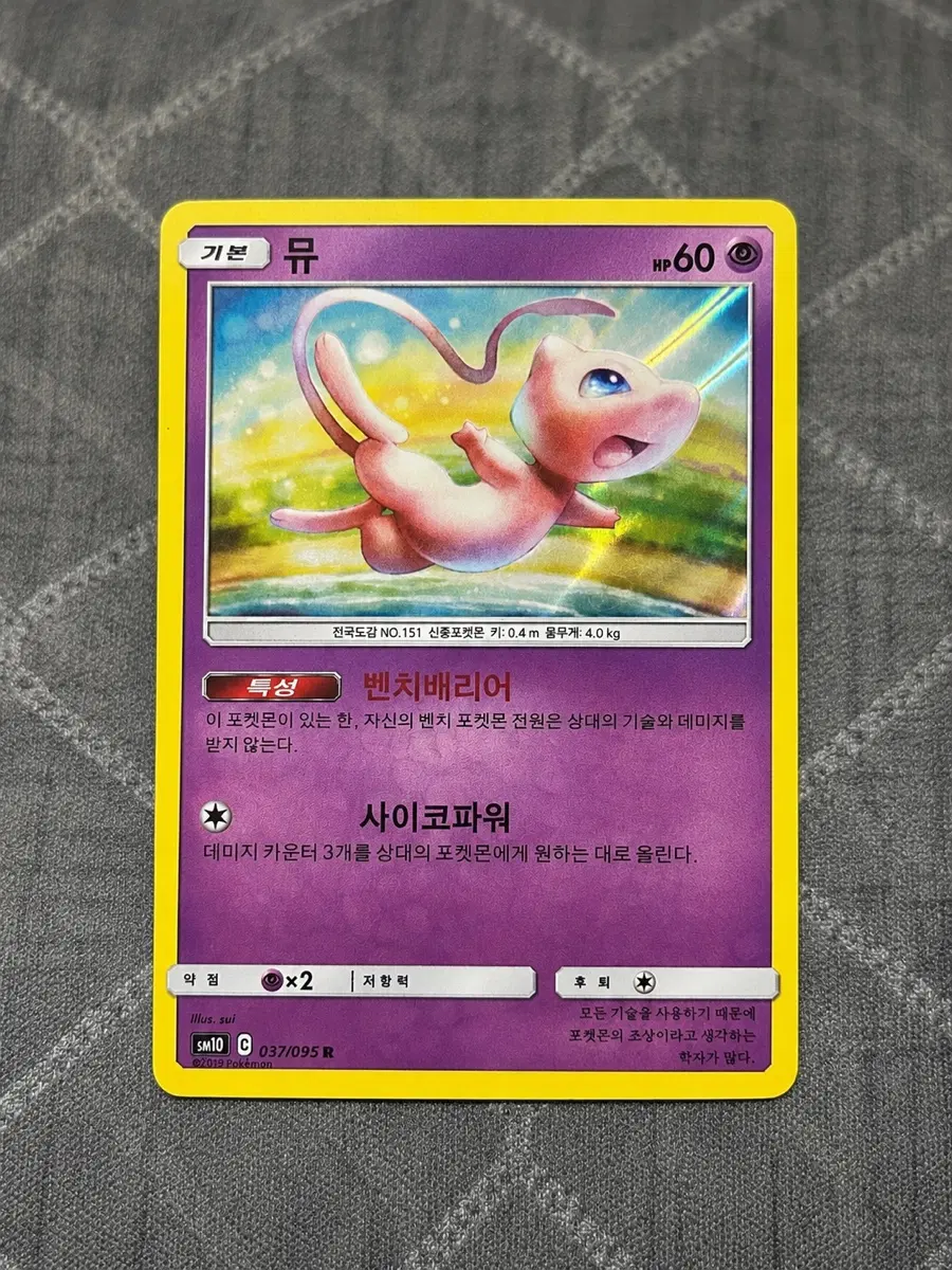 2019 포켓몬카드 뮤