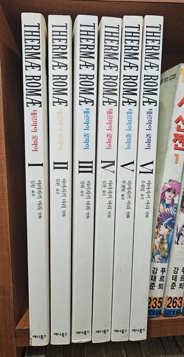 테르마이로마이1-6완 소장용
