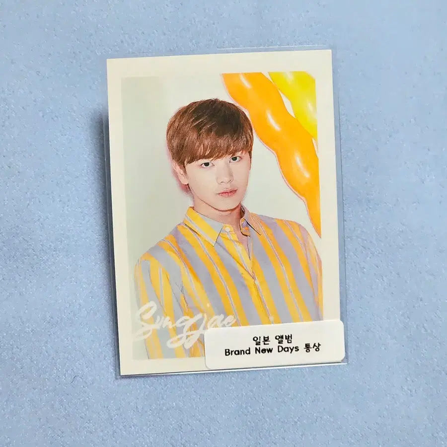 비투비 육성재 브랜뉴데이 통상 일본 앨범 포카