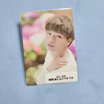 비투비 육성재 미래 한정 일본 포카 | 브랜드 중고거래 플랫폼, 번개장터