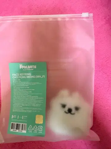 TXT PPULBATU 뿔바투 페이스 키링 채연몽
